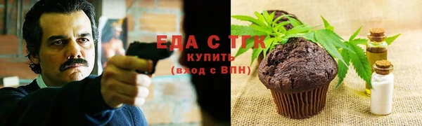 индика Бронницы